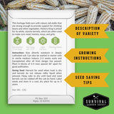 A product information card for 'Hickory King' corn from Survival Garden Seeds, displayed over a background of harvested corn cobs and informational text overlays detailing growing instructions and seed saving tips.