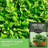 A close-up of fresh green corn salad leaves filling the frame, with a seed packet labeled 'Corn Salad' placed in the lower right. Text at the bottom reads 'Mild Nutty Flavor' and 'Tender leaves perfect for fresh salads.
