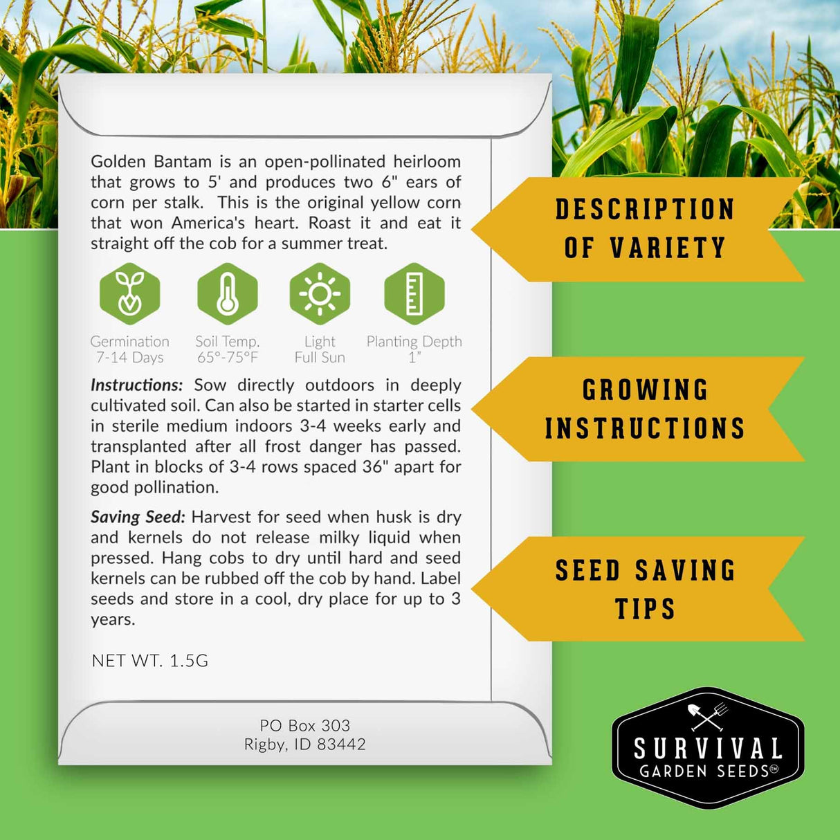 A printed corn variety card for Golden Bantam from Survival Garden Seeds, displayed on a green background with corn plants. The card includes growing instructions, seed saving tips, and a growing instructions arrow pointing to it.