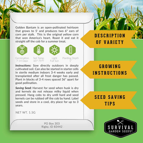 A printed corn variety card for Golden Bantam from Survival Garden Seeds, displayed on a green background with corn plants. The card includes growing instructions, seed saving tips, and a growing instructions arrow pointing to it.