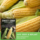 Sweet corn cob close-up with a product label overlay reading 'Sweet Corn Golden Bantam' and a green banner that says 'Save Seeds & Replant' and 'Open-pollinated for future gardens.'.