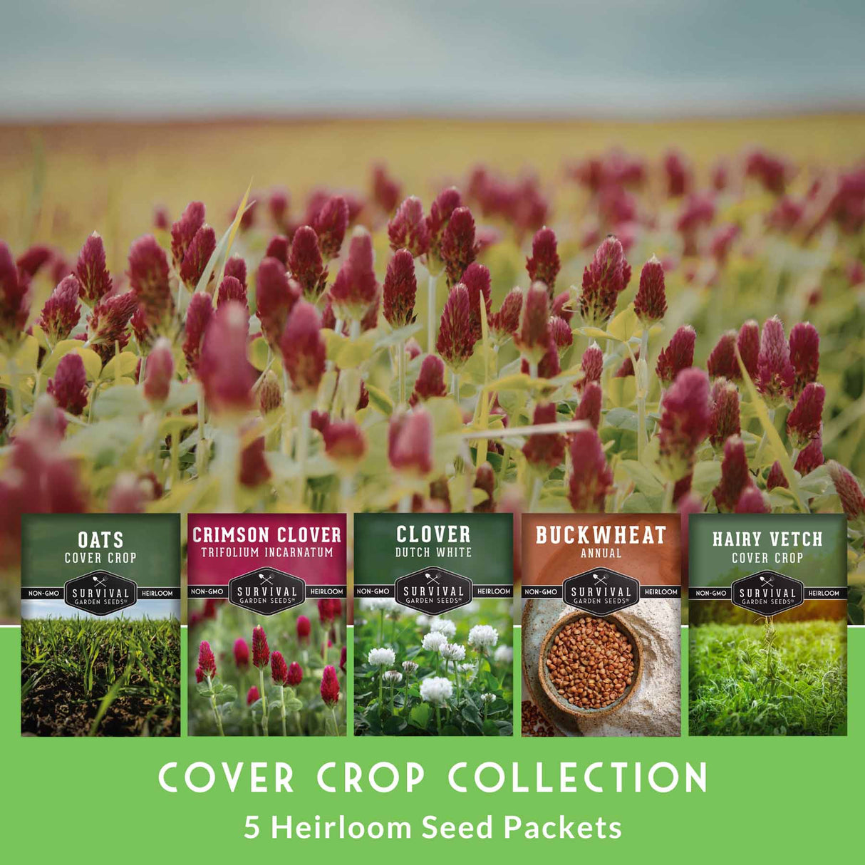 Cover crop collection with seed packets and a field of red clover in the background.