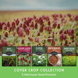 Cover crop collection with seed packets and a field of red clover in the background.