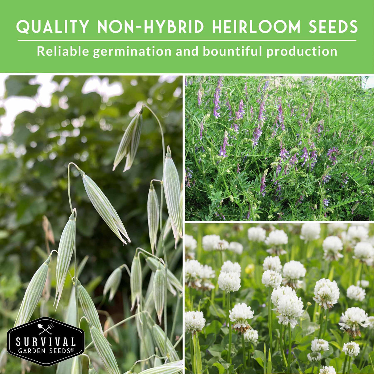 Collage of plants with text about non-hybrid heirloom seeds and Survival Garden Seeds logo.