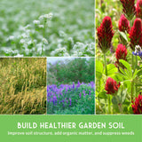 Collage of various plants with text about building healthier garden soil.