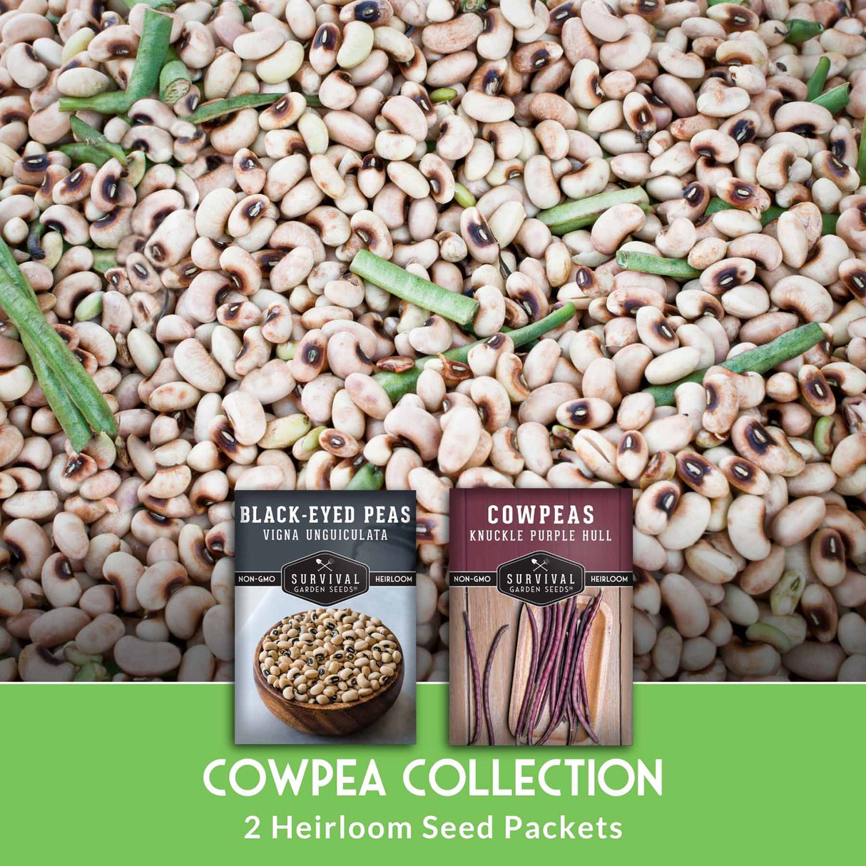 cowpea collection of 2 heirloom seed packets