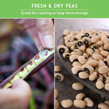 Fresh and dry cowpeas