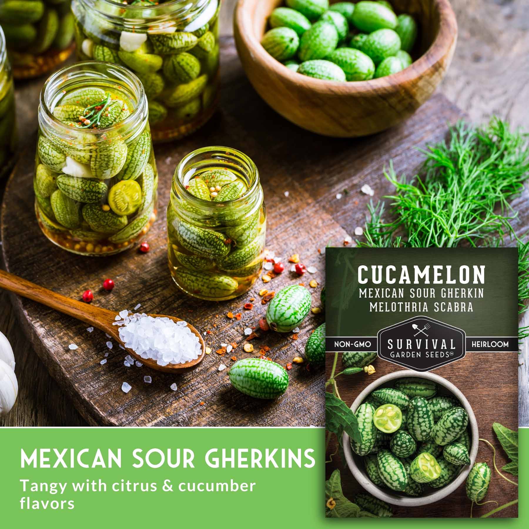Cucamelon – Heirloom Non-GMO Seeds – SurvivalGardenSeeds