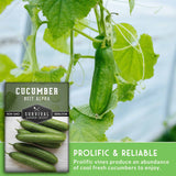 Cucumber seed packet with cucumbers on a wooden board and in a garden setting. Prolific and reliable