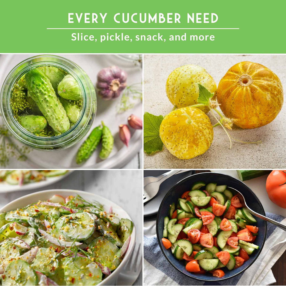 A 2x2 collage showing different cucumber preparations and varieties under the green headline 'EVERY CUCUMBER NEED' and subtext 'Slice, pickle, snack, and more.' The top-left panel shows pickled cucumbers in a glass jar with garlic; the top-right shows whole yellow-orange cucumbers; the bottom-left shows a cucumber salad in a bowl; the bottom-right shows sliced cucumbers with tomatoes in a pan.