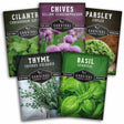 Five seed packet packages from Survival Garden Seeds are arranged in a fan layout. The packets include Cilantro, Chives, Parsley, Thyme, and Basil, each with a different colored header and a photo of the fresh herb.