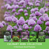 Five heirloom seed packets for culinary herbs are displayed against a blurred background of blooming purple chive flowers. The packets are labeled Thyme, Parsley, Chives, Basil, and Cilantro, with a green banner at the bottom reading 'CULINARY HERB COLLECTION' and '5 Heirloom Seed Packets'.