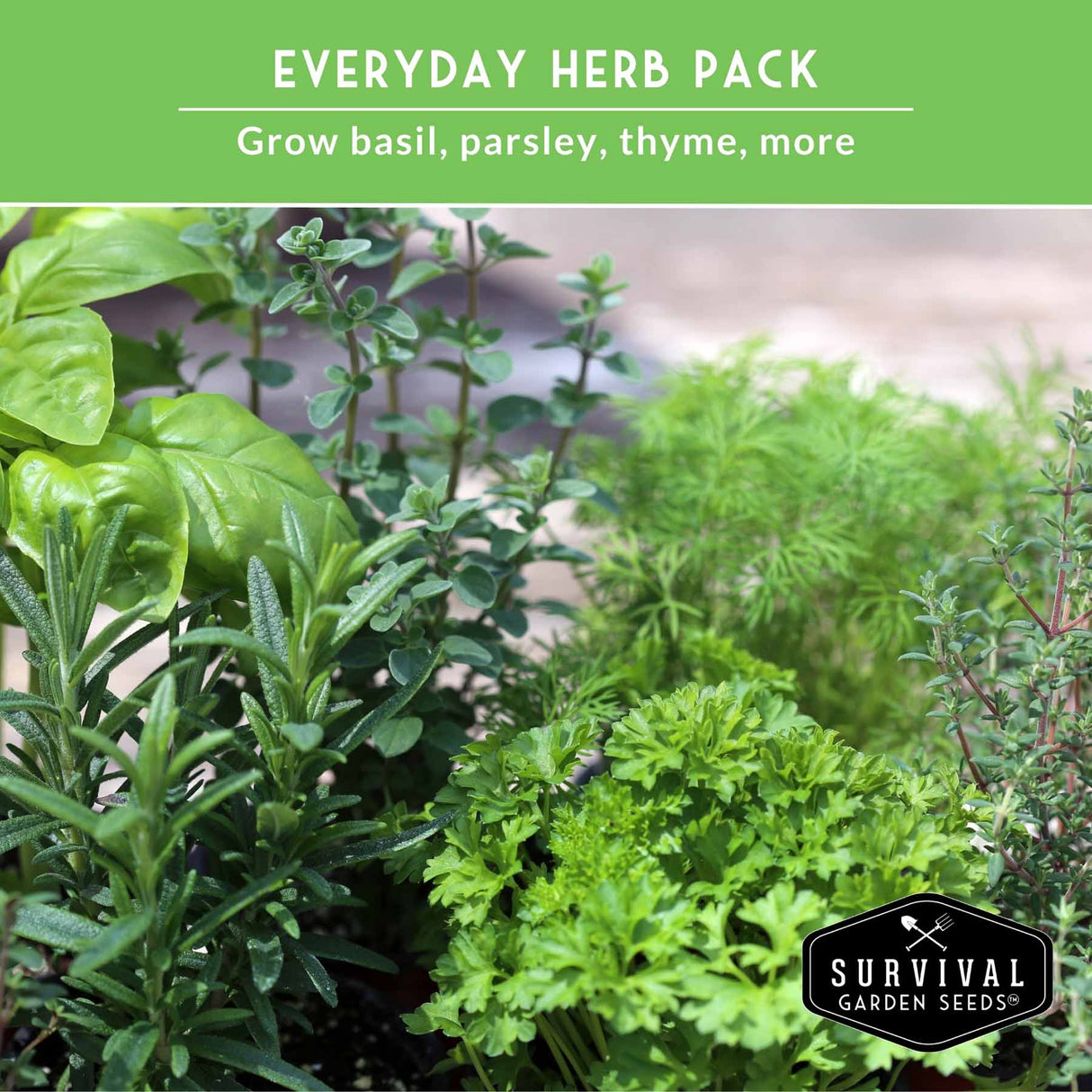 Herb plants including basil, parsley, and thyme with 'Everyday Herb Pack' text and 'Survival Garden Seeds' logo.