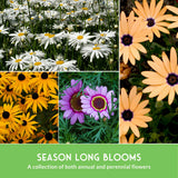 Collage of various flowers with text 'Season Long Blooms' on a green background