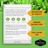 Seed packet for Common Dandelion with growing instructions and survival garden seeds branding on a green background.