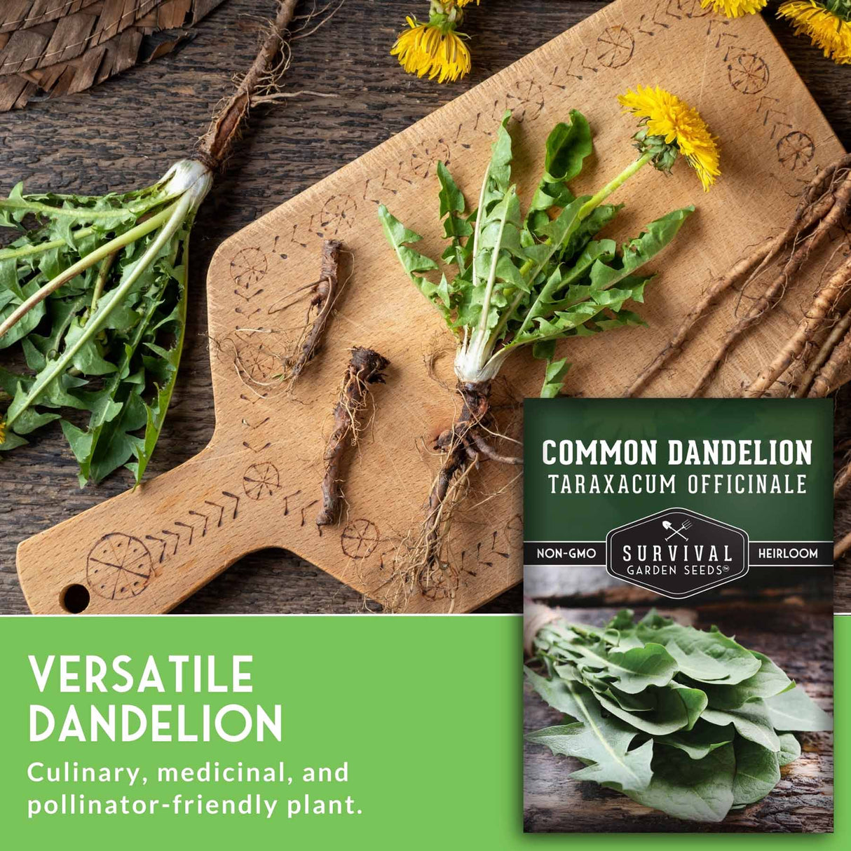Common dandelion plant on a wooden board with text about its uses and a brand logo.