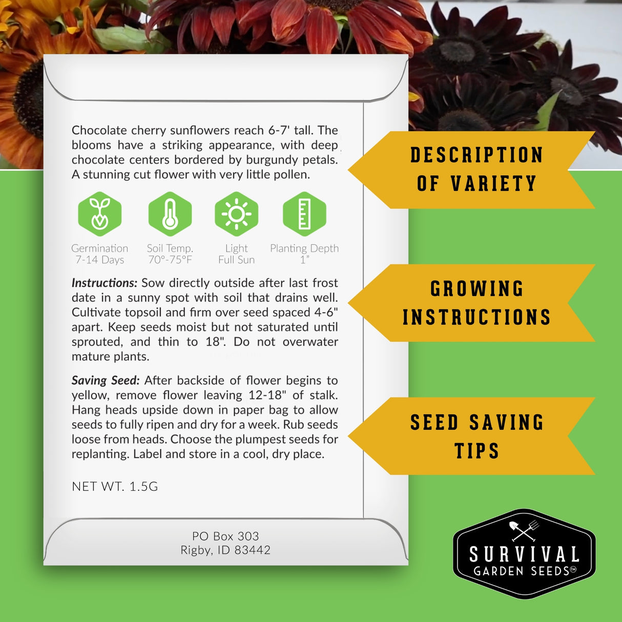 Back of sunflower seed packet with growing instructions and seed saving information