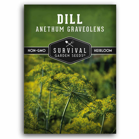 Seed packet for Dill Anethum Graveolens from Survival Garden Seeds, featuring a green and yellow photo of dill plants with white text.
