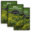 Three seed packet graphics for 'Dill Anethum Graveolens' by Survival Garden Seeds, showing green and yellow dill plants on a white background.