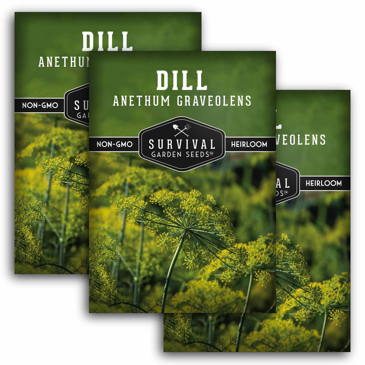 Three seed packet graphics for 'Dill Anethum Graveolens' by Survival Garden Seeds, showing green and yellow dill plants on a white background.