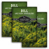 Three seed packet graphics for 'Dill Anethum Graveolens' by Survival Garden Seeds, showing green and yellow dill plants on a white background.