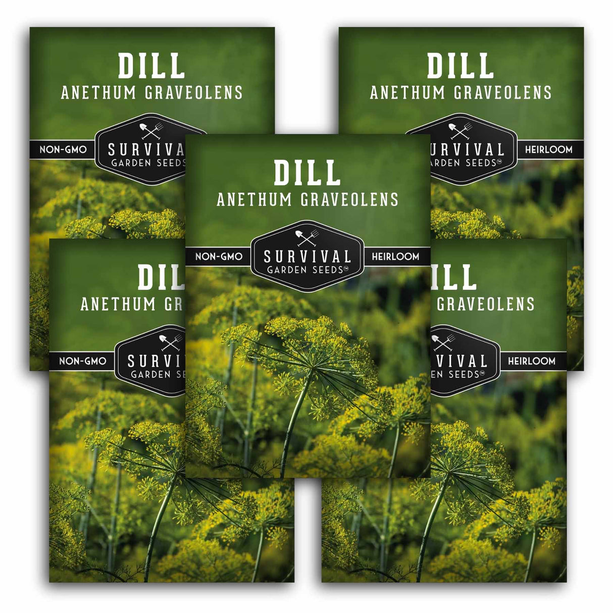 Five seed packet packages for 'Dill Anthem Graveolens' by Survival Garden Seeds are arranged in a fan-like layout. The packets feature a dark green background with a photograph of yellow-green dill flowers and white text.