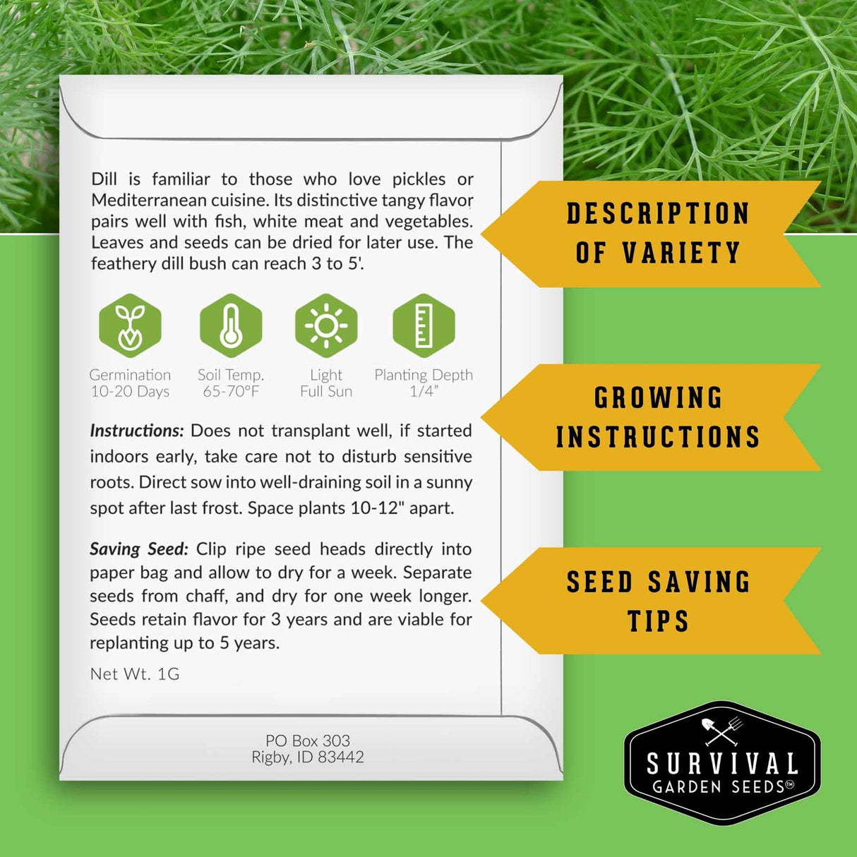 An informational product card about dill seeds with text, icons, and callout arrows on a green grass background. The card includes growing tips, seed-saving advice, and variety description.