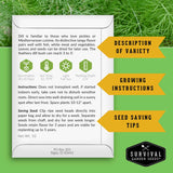 An informational product card about dill seeds with text, icons, and callout arrows on a green grass background. The card includes growing tips, seed-saving advice, and variety description.