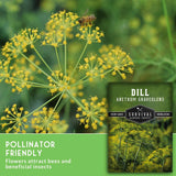 Survival Garden Seeds Dill (Anthem Graveolens) seed packet shown next to a close-up photo of yellow dill flowers with a bee on them, with a green text banner at the bottom.