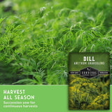 Seed packet for Survival Garden Seeds Dill Anthem Graveolens shown over a photo of green dill foliage, with a green banner reading 'Harvest All Season' and 'Succession sow for continuous harvests.'.