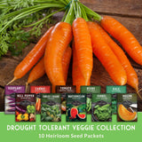 Bunch of carrots on a wooden surface with seed packets for drought tolerant vegetables below.