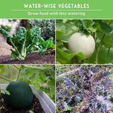 Collage of water-wise vegetables with text 'Water-Wise Vegetables: Grow food with less watering' on a green background.