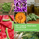 Collage of dry climate vegetables with text overlay on a wooden surface.