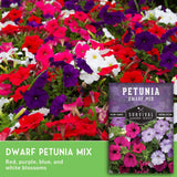 Dwarf petunia mix with a seed packet labeled 'Survival Garden Seeds' on a green background.