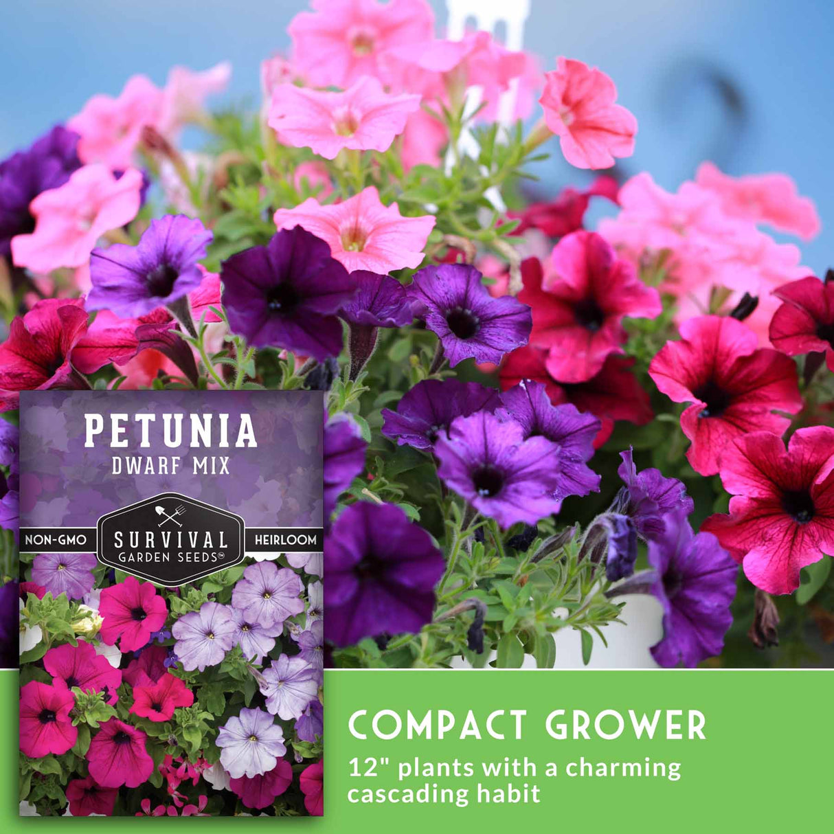 Colorful petunia flowers with a seed packet labeled 'Survival Garden Seeds' on a blurred floral background.