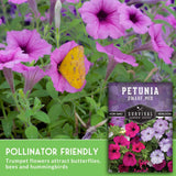 Petunia dwarf mix seeds packet with pink and purple flowers and a yellow butterfly.