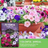 Potted petunias with a seed packet labeled 'Petunia Dwarf Mix' from Survival Garden Seeds.
