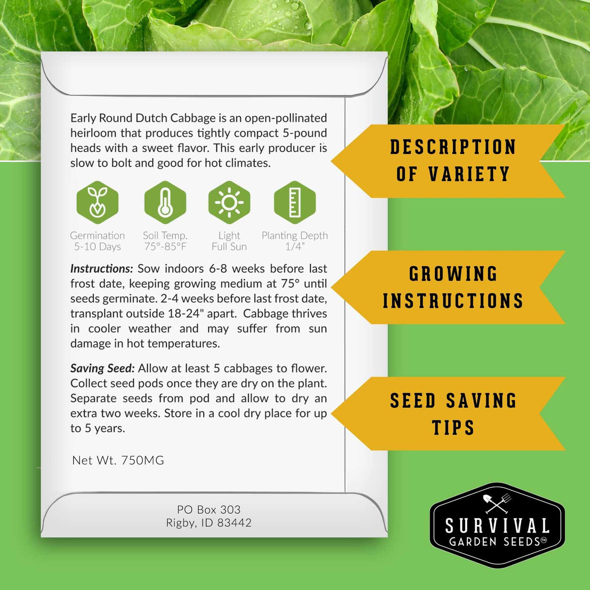 A white seed-saving information card for Early Round Dutch Cabbage from Survival Garden Seeds, set against a green leafy cabbage background with yellow callout banners reading 'Description of Variety,' 'Growing Instructions,' and 'Seed Saving Tips.'.