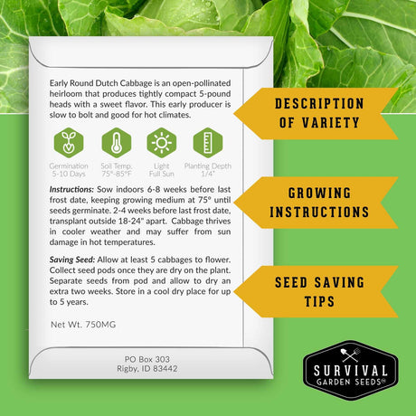 A white seed-saving information card for Early Round Dutch Cabbage from Survival Garden Seeds, set against a green leafy cabbage background with yellow callout banners reading 'Description of Variety,' 'Growing Instructions,' and 'Seed Saving Tips.'.