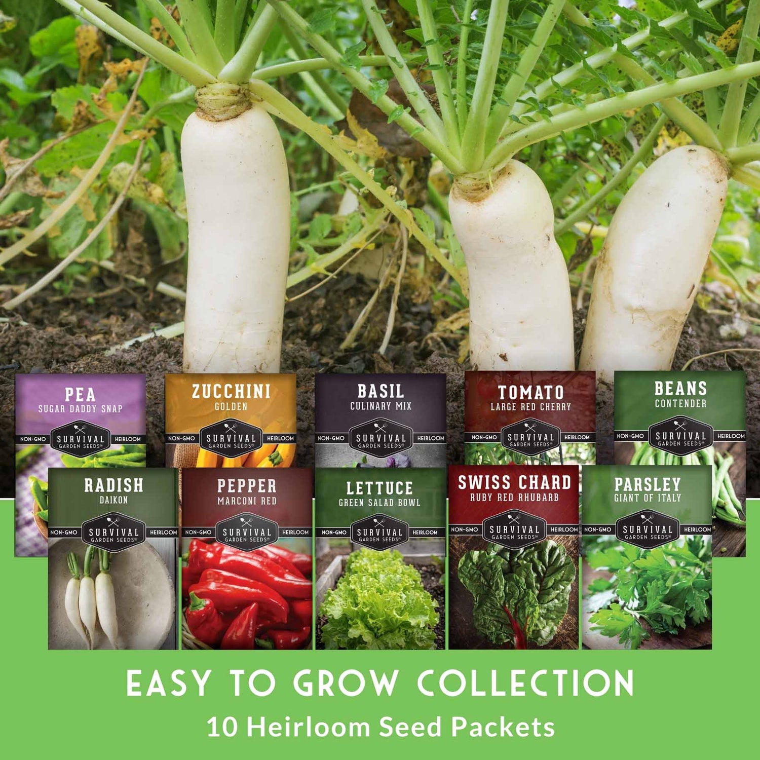 seeds and vegetable plants Easy-to-Grow Seed Collection