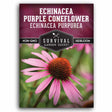 1 packet of Echinacea Purple Coneflower seeds