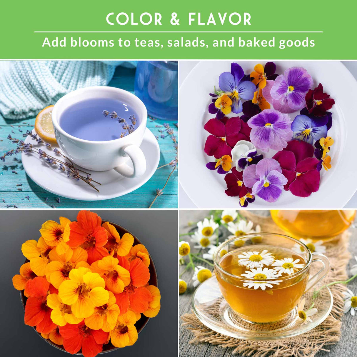 various flowers with text that says color and flavor