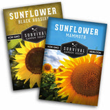 Two seed packet packages for sunflower seeds, one labeled 'Sunflower Black Russian' and the other 'Sunflower Mammoth,' both showing large sunflower imagery and the Survival Garden Seeds logo.