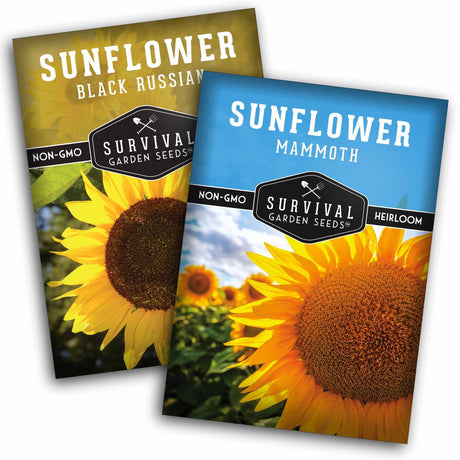 Two seed packet packages for sunflower seeds, one labeled 'Sunflower Black Russian' and the other 'Sunflower Mammoth,' both showing large sunflower imagery and the Survival Garden Seeds logo.