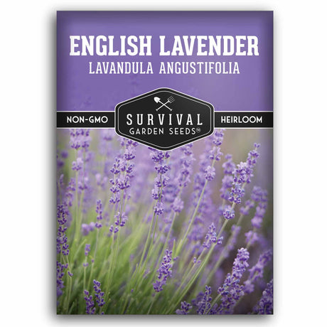1 packet of English Lavender seeds