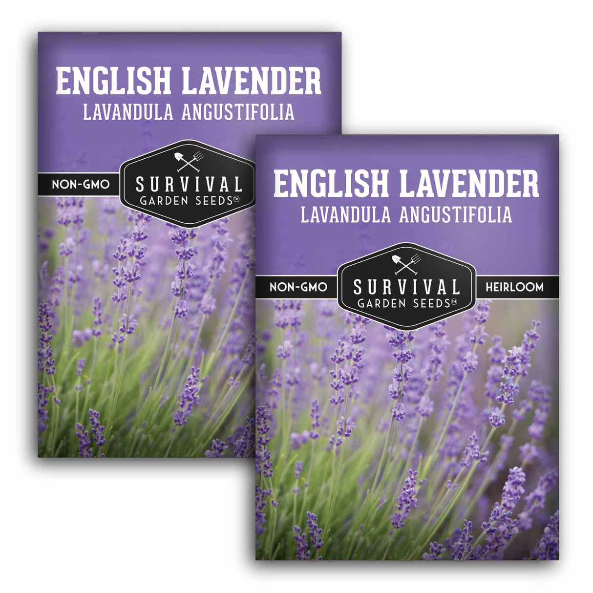 2 Packets of English Lavender seeds