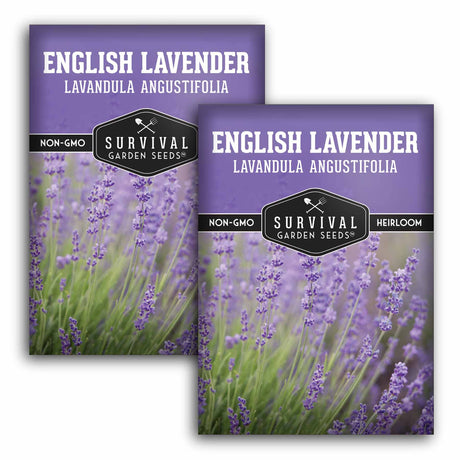 2 Packets of English Lavender seeds