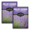 2 Packets of English Lavender seeds