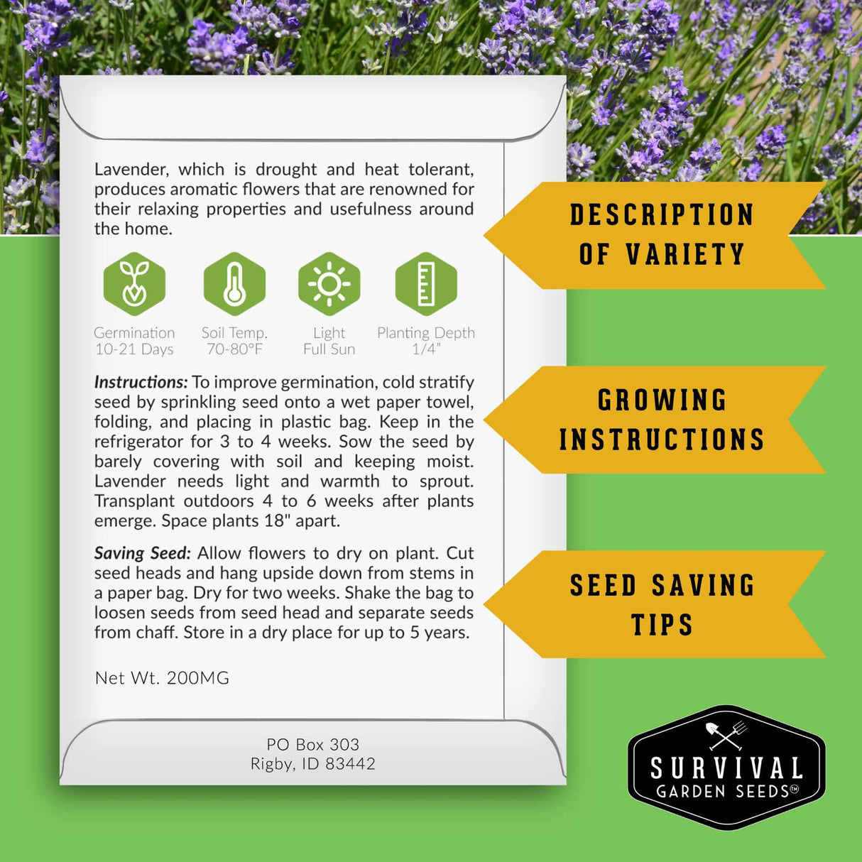 Back of English Lavender seed packet with growing instructions and seed saving information.