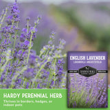 Lavender flowers with seed packet and text that says hardy perennial herb